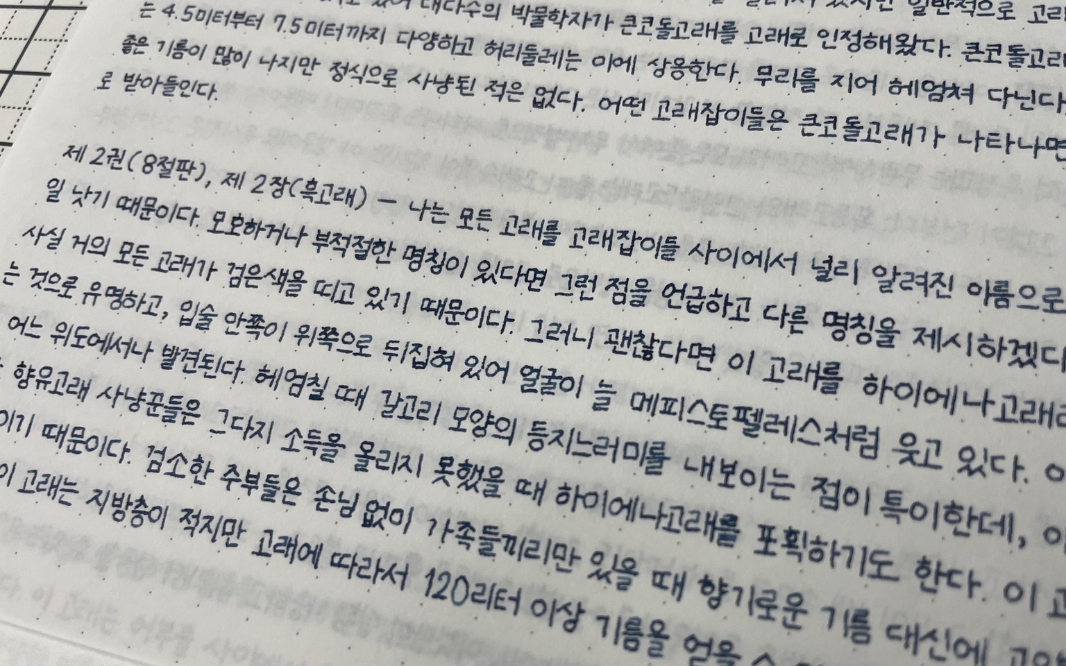 디아민 프러시안 블루로 쓴 32장 「고래학」 글씨 확대